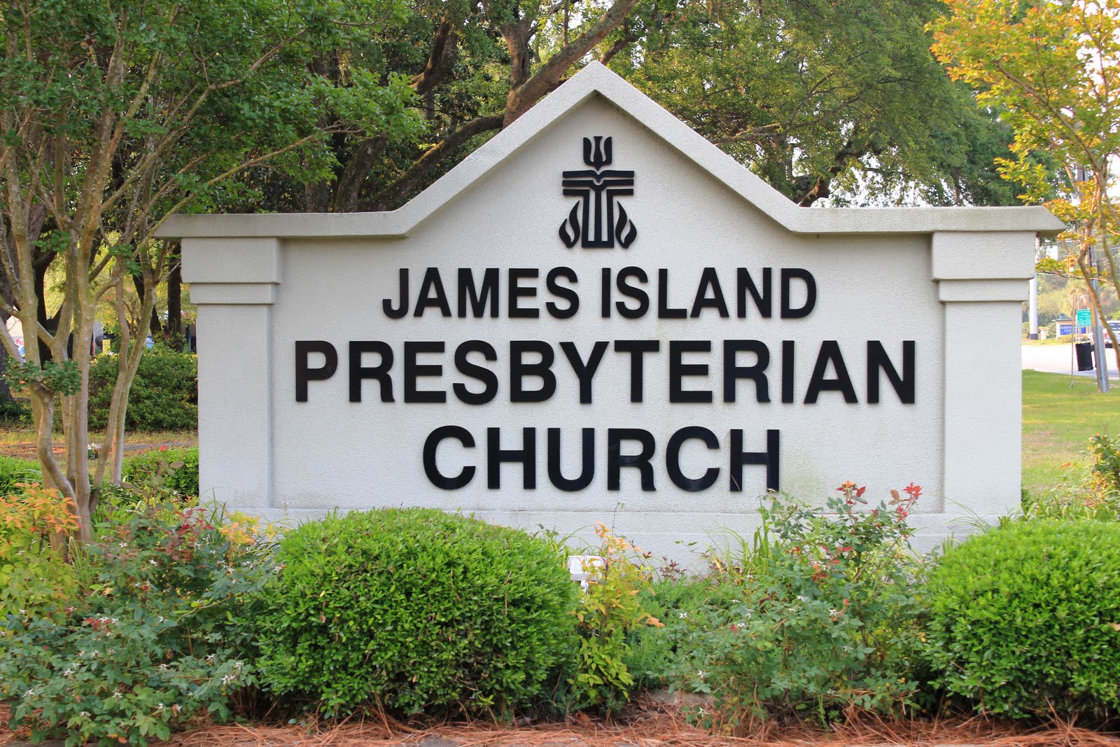 Have You Seen My Roots? Tombstone Tuesday James Island Presbyterian
