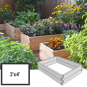 Eat Live Grow Paleo : Square Foot Gardening - Building Beds