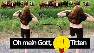 Die Vier Schonsten Freundebucher Fur Schulkinder Zuckersusse