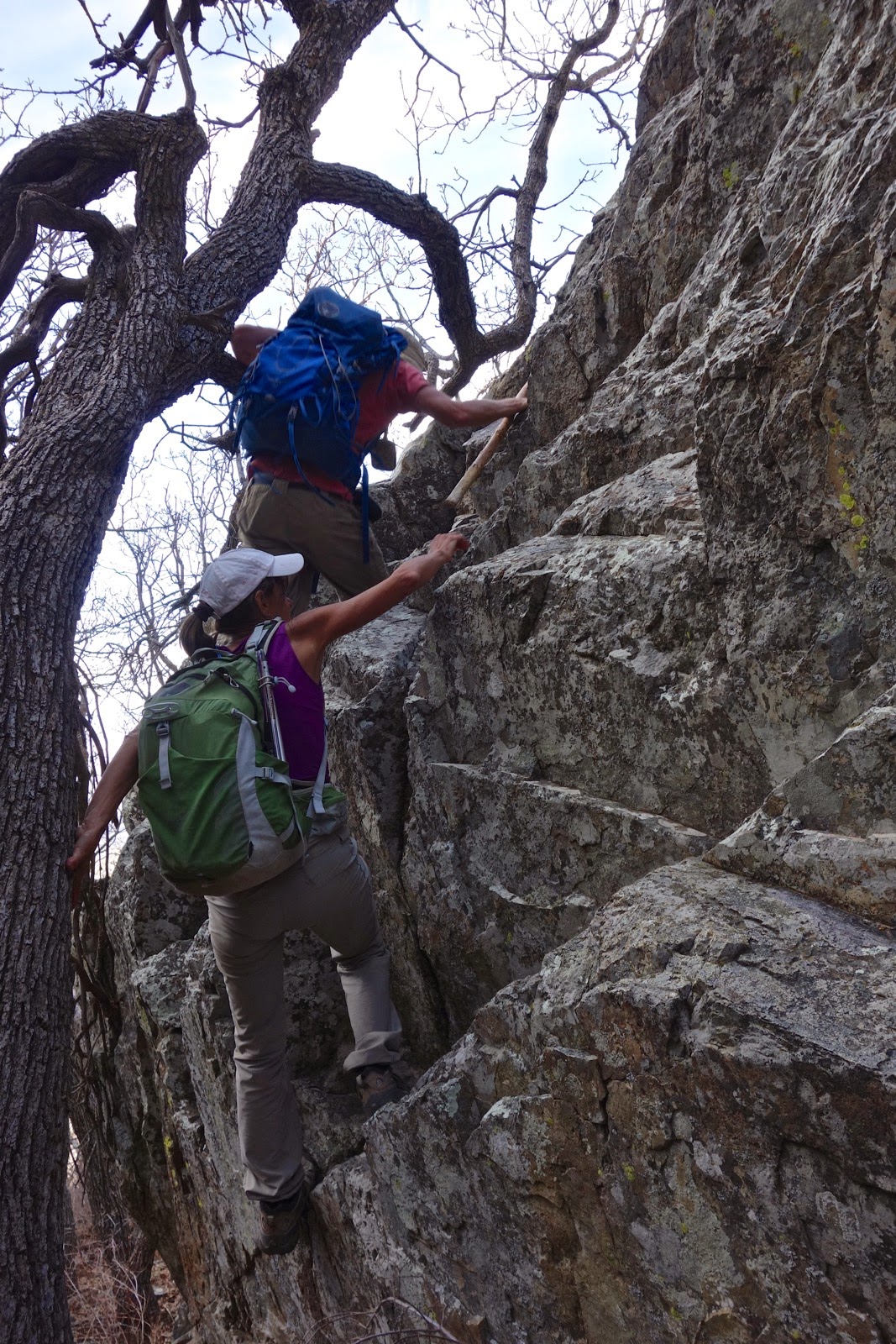 Earthline The American West Dos Cabezas Peaks, 8,354' and 8,357', Via