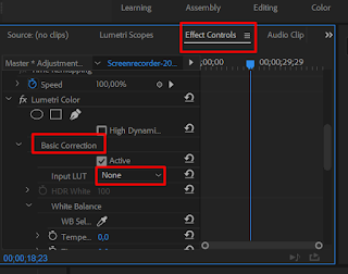 Tutorial Cara Menggunakan Luts di Adobe Premiere Pro CC