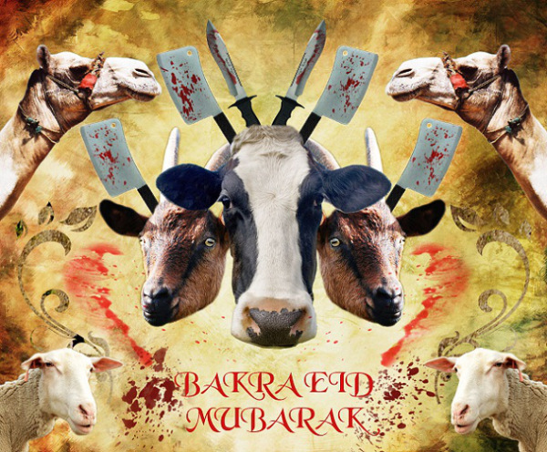 Bakra Eid -ul-Adha Zuha sms message wishes in english Urdu Hindi with images pictures Greetings Card Bakra Eid -ul-Adha Zuha sms message wishes in english Urdu Hindi with images pictures Greetings Card