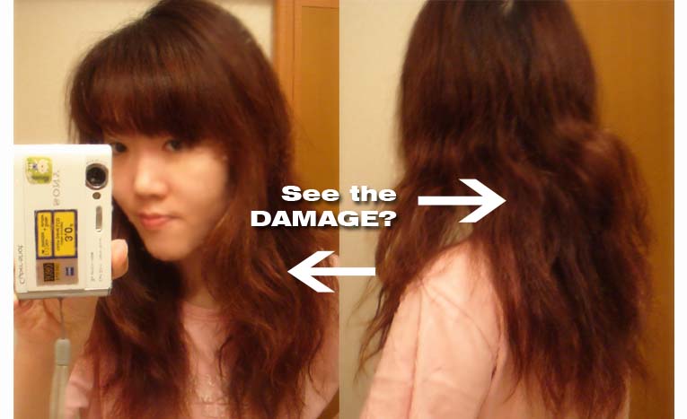 Henna Hair Dye Lush Results Makedes Henna Hair Color Lush Image Search Results