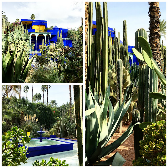 Marrakech / Jardin Majorelle / Photos Atelier rue verte / Café, restaurant, boutique déco, à Marrakech