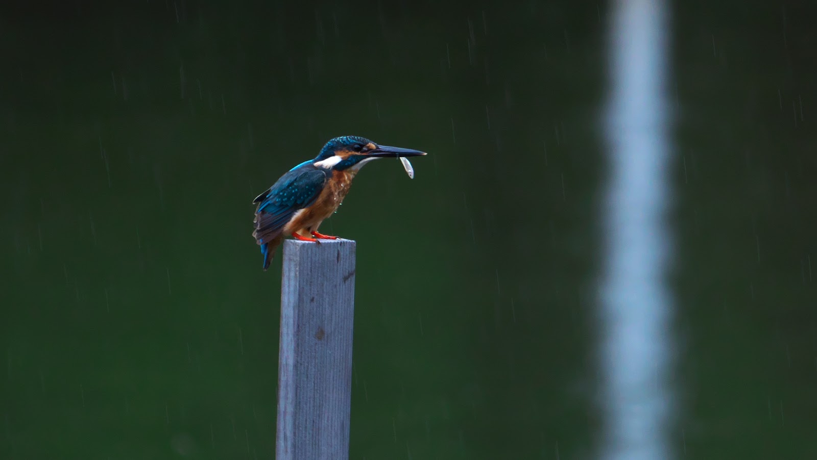 歴史上最も愚かな2つの戦争を思い出してください