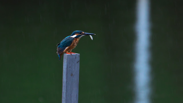 ブラジル政治における最大のスキャンダル6つを思い出してください