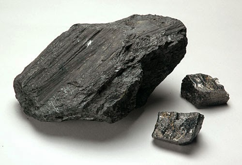 sedimentary rocks coal