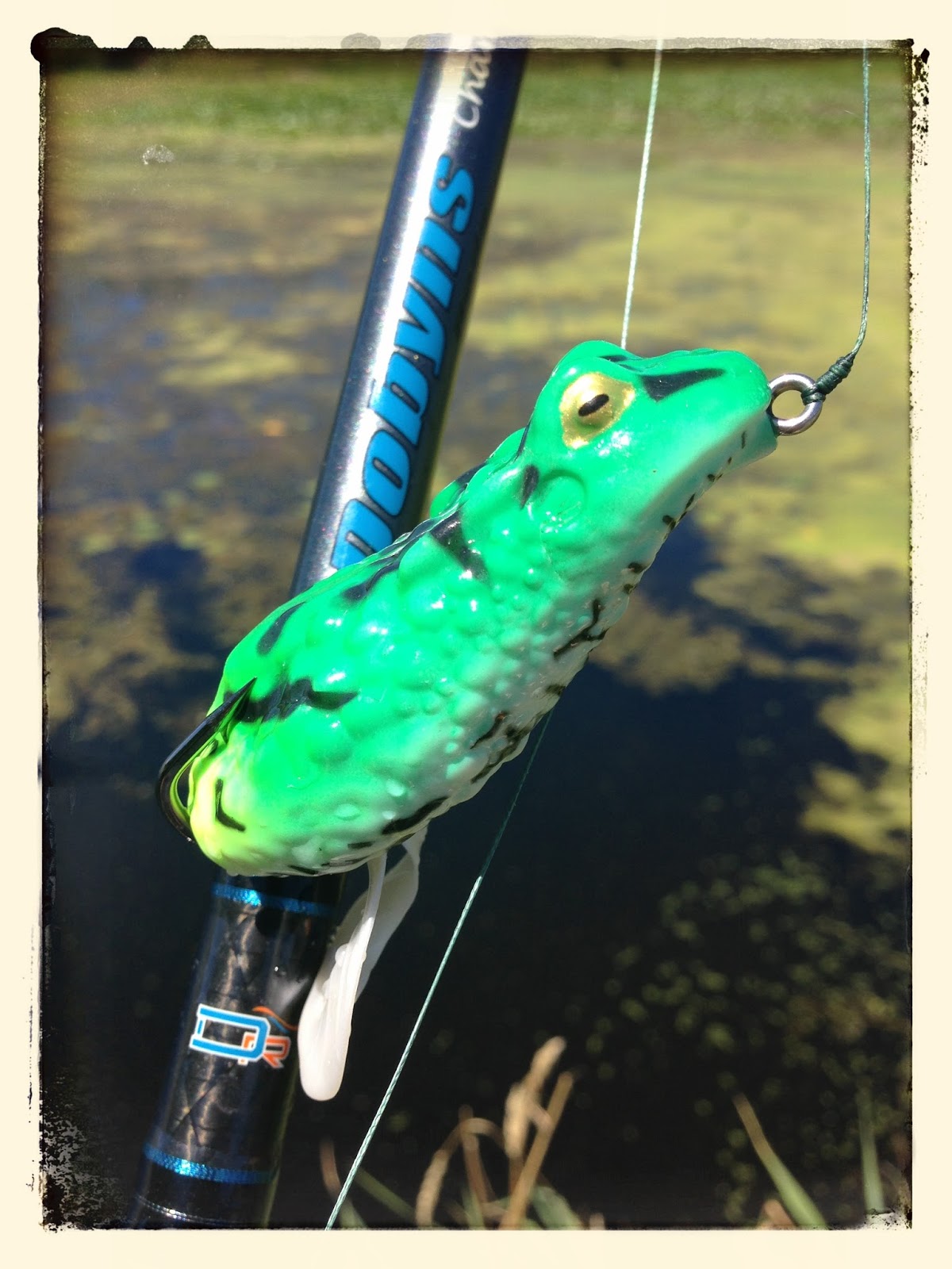 Bass Junkies Frog Pond Bass Pro Shops XPS Frog Review