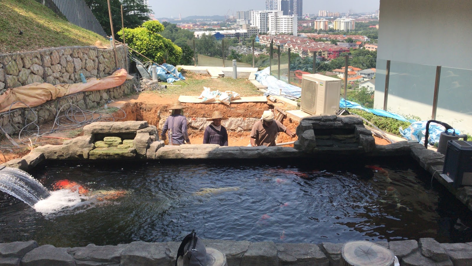 koi_pond_to_pool_5.jpg