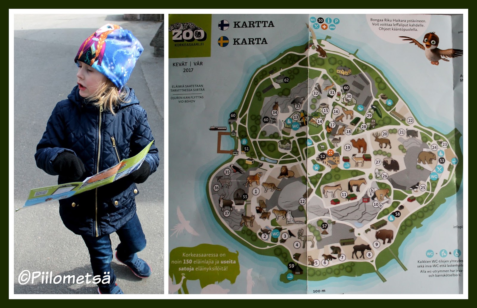 Piilometsan Vaki Huomenna Mennaan Korkeasaareen