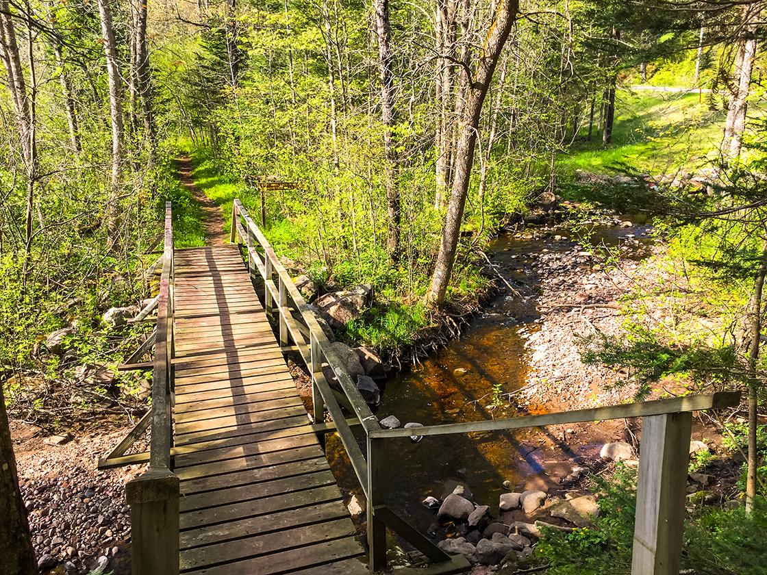 Along the Grandfather Falls Segment of the Ice Age National Trail