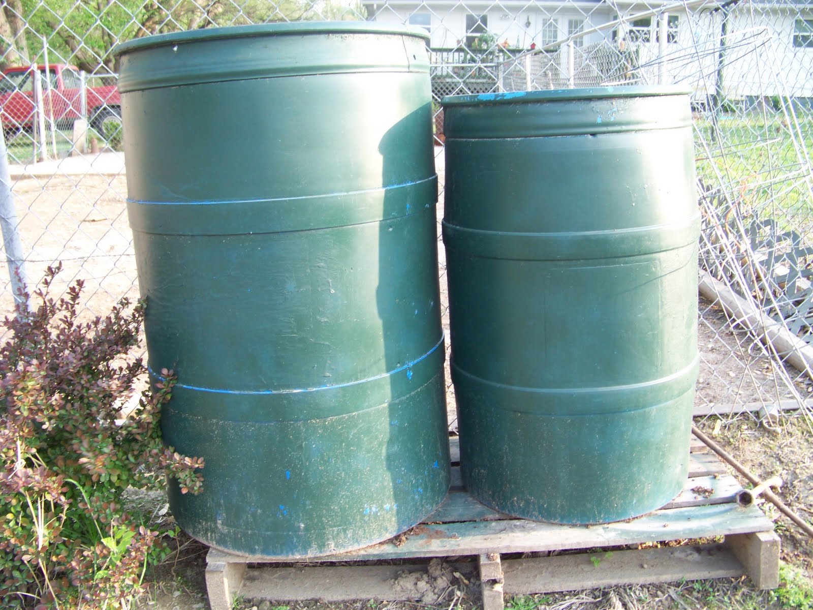 Grandma B Simple Living GROWING POTATOES IN A BARREL