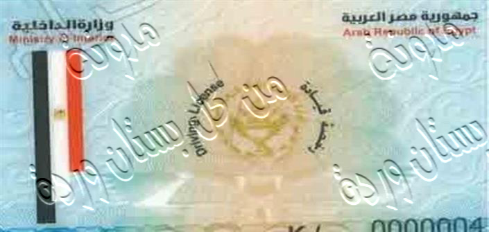 كل ما تريد معرفته عن استخراج رخصة قيادة السيارات فى مصرlicense