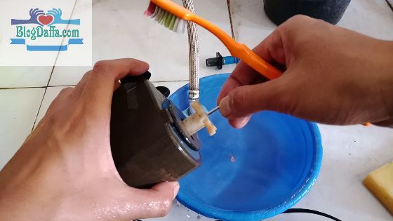 Bersihkan Filter Akuarium Bersihkan Filter Akuarium