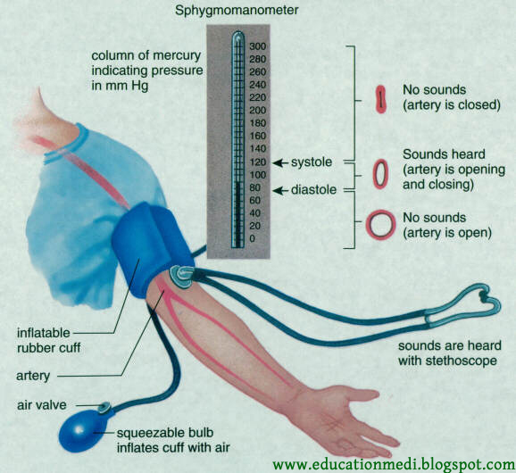 Correct way to taking blood pressure. - Medical Education