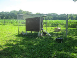 adding onto existing chicken coop 4
