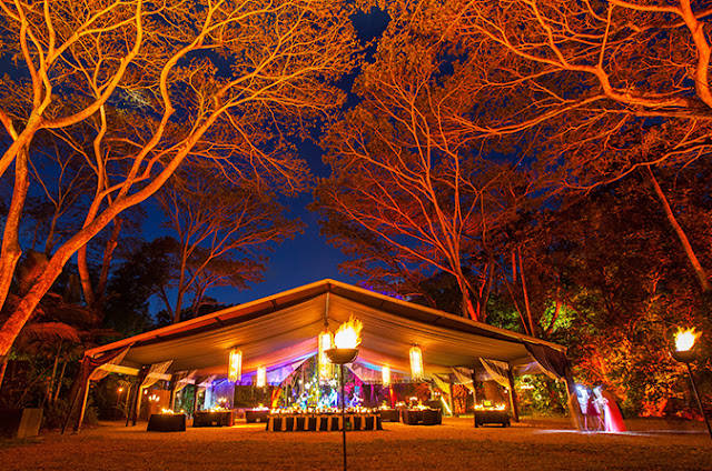 Wedding Venues Sunshine Coast Qld Flames Of The Forest Port Douglas Wedding Venues Sunshine Coast Qld Flames Of The Forest Port Douglas