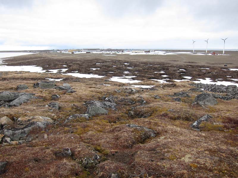 Birdernaturalist Shopping, Boxing, and Shipping for Gambell