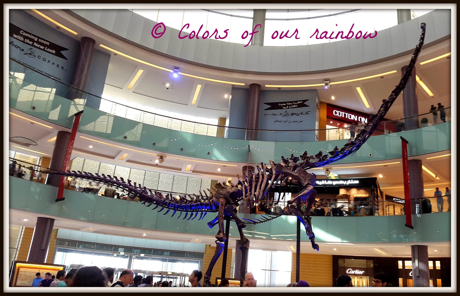 Dinosaur remains at Dubai Mall