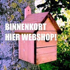 WEBSHOP