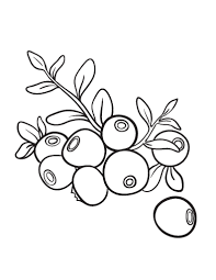 Blueberry coloring page 5
