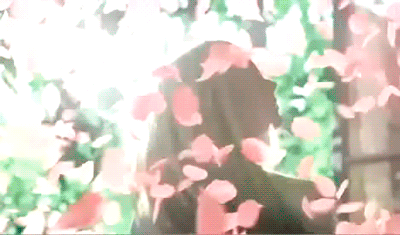 WildRose.gif