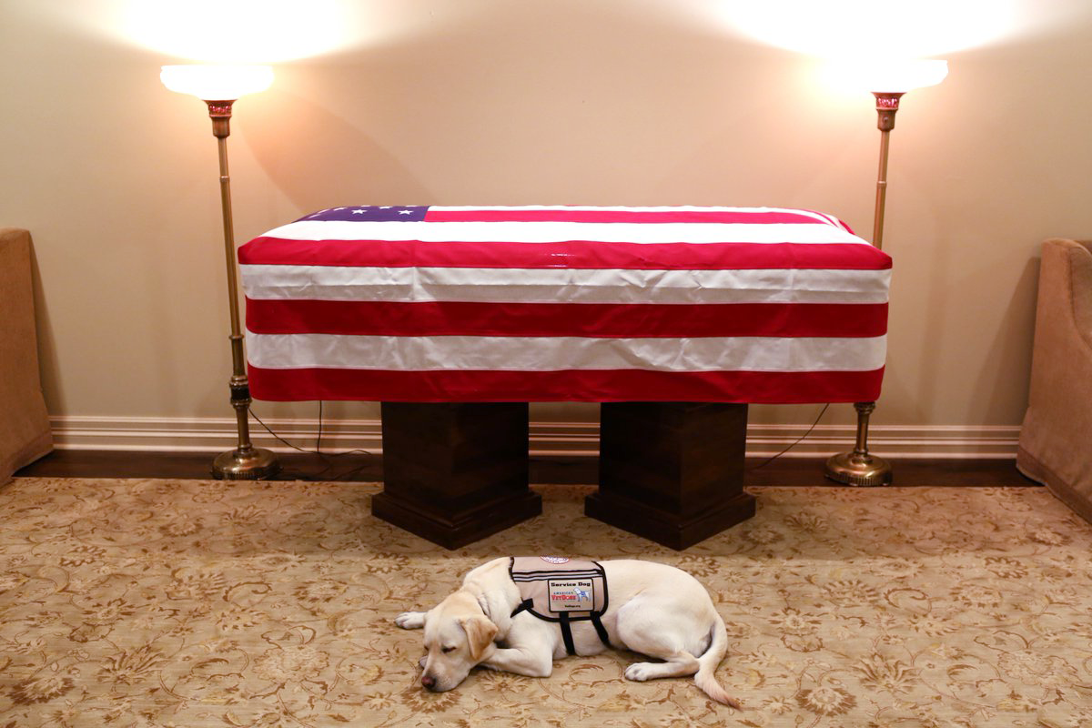 A service dog lays in front of a casket