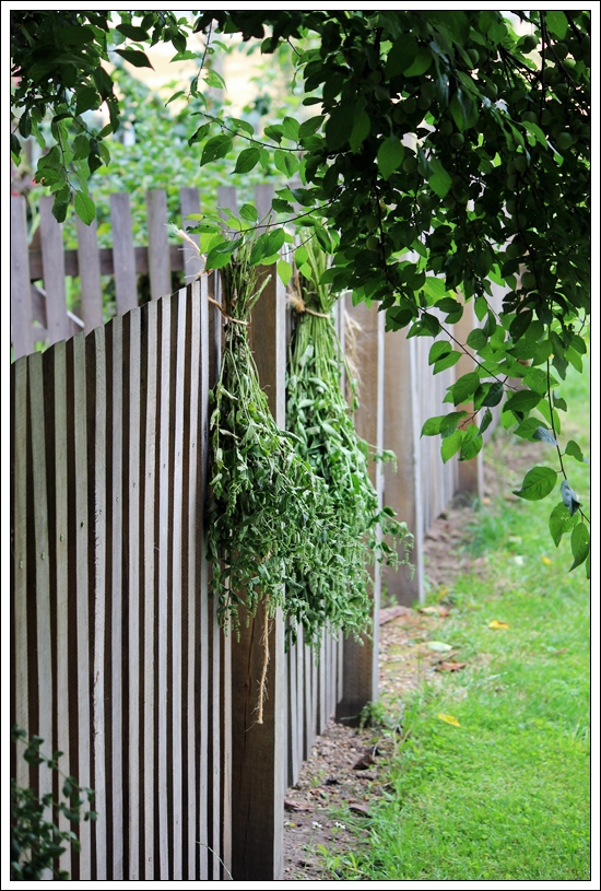 INNENANSICHTEN: Rainy Day