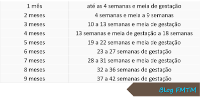 semanas de gravidez em meses tabela