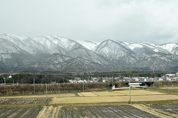 el 的blog 山中溫泉花紫