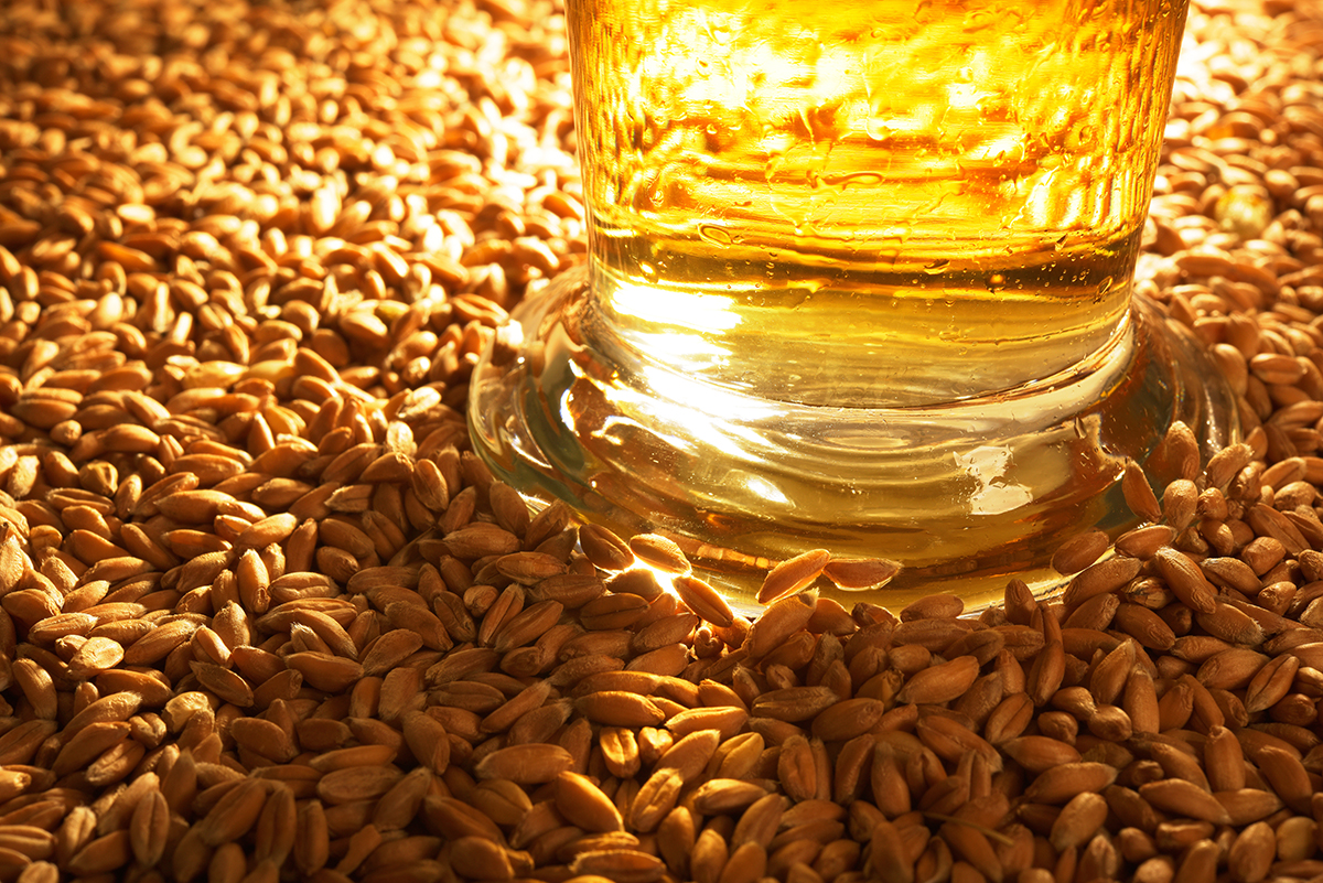 Use of Barley Malt in your favourite foods November 2017