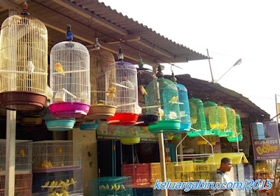Pasar Burung Splendid Malang