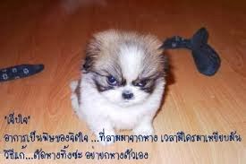 ข้อความโดนใจ