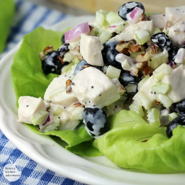 Blueberry Pecan Chicken Salad 