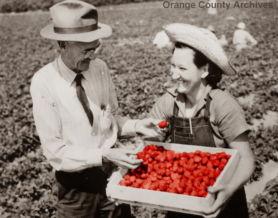 O.C. History Roundup Strawberries in Orange County