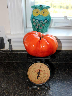 Even the ceramic owl seems surprised that that tomato weighs almost a kilogram!