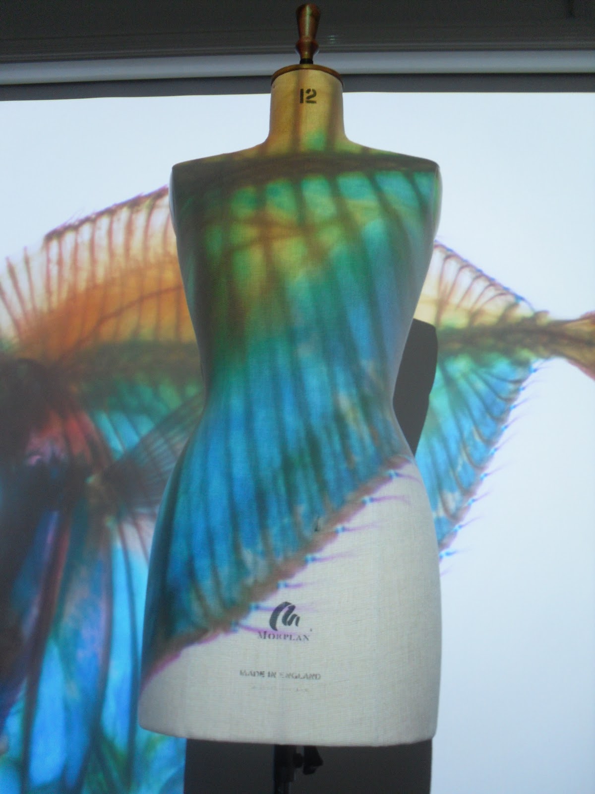 EMMA.lou: Digital Draping