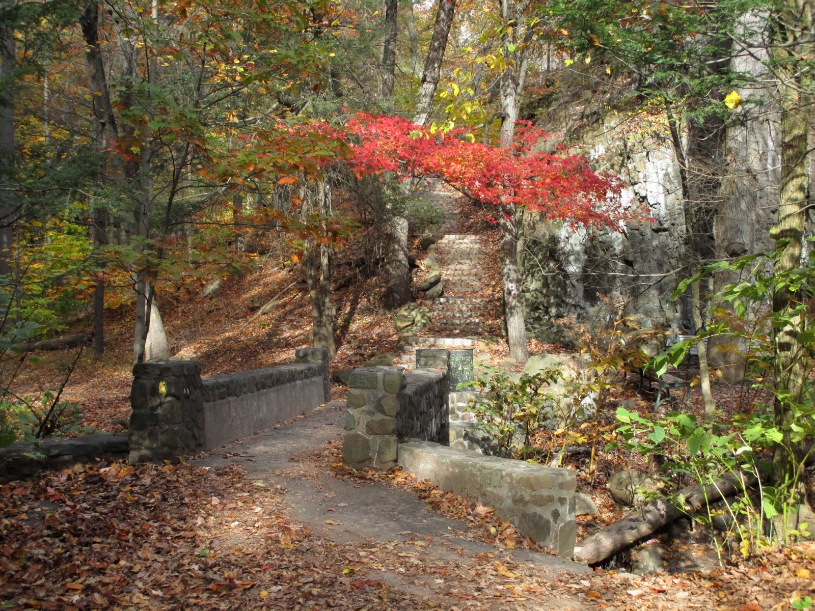 Парк Саус Маунтин Резервейшн, Миллбурн, Нью-Джерси (South Mountain Reservation, Millburn, NJ)