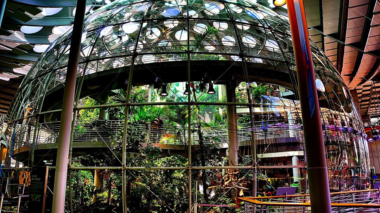 California Academy of Sciences Museum Trip to Museum