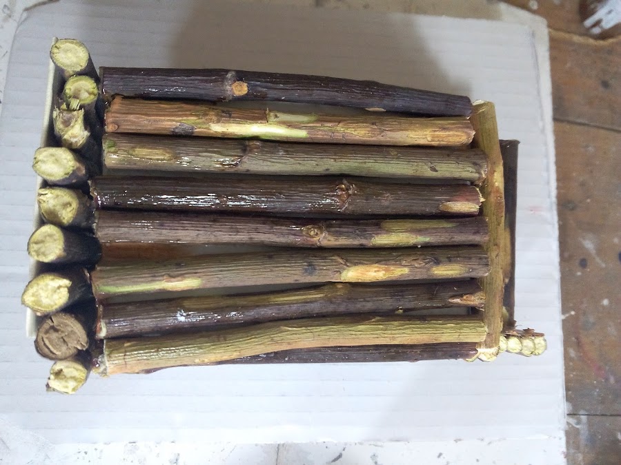 como-hacer-una-casa-de-pajaros