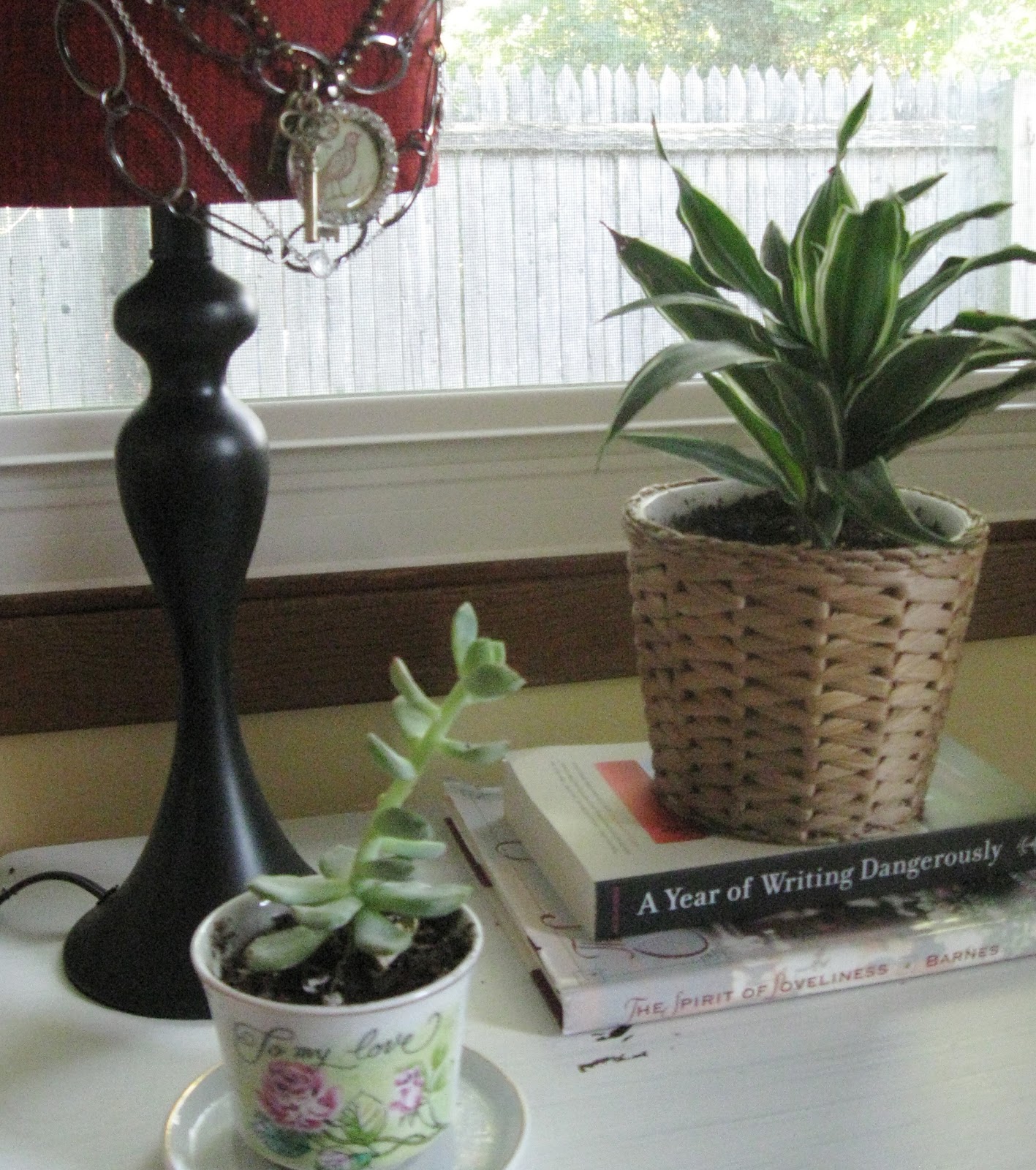 COMFY HOUSE moving outdoor plants inside