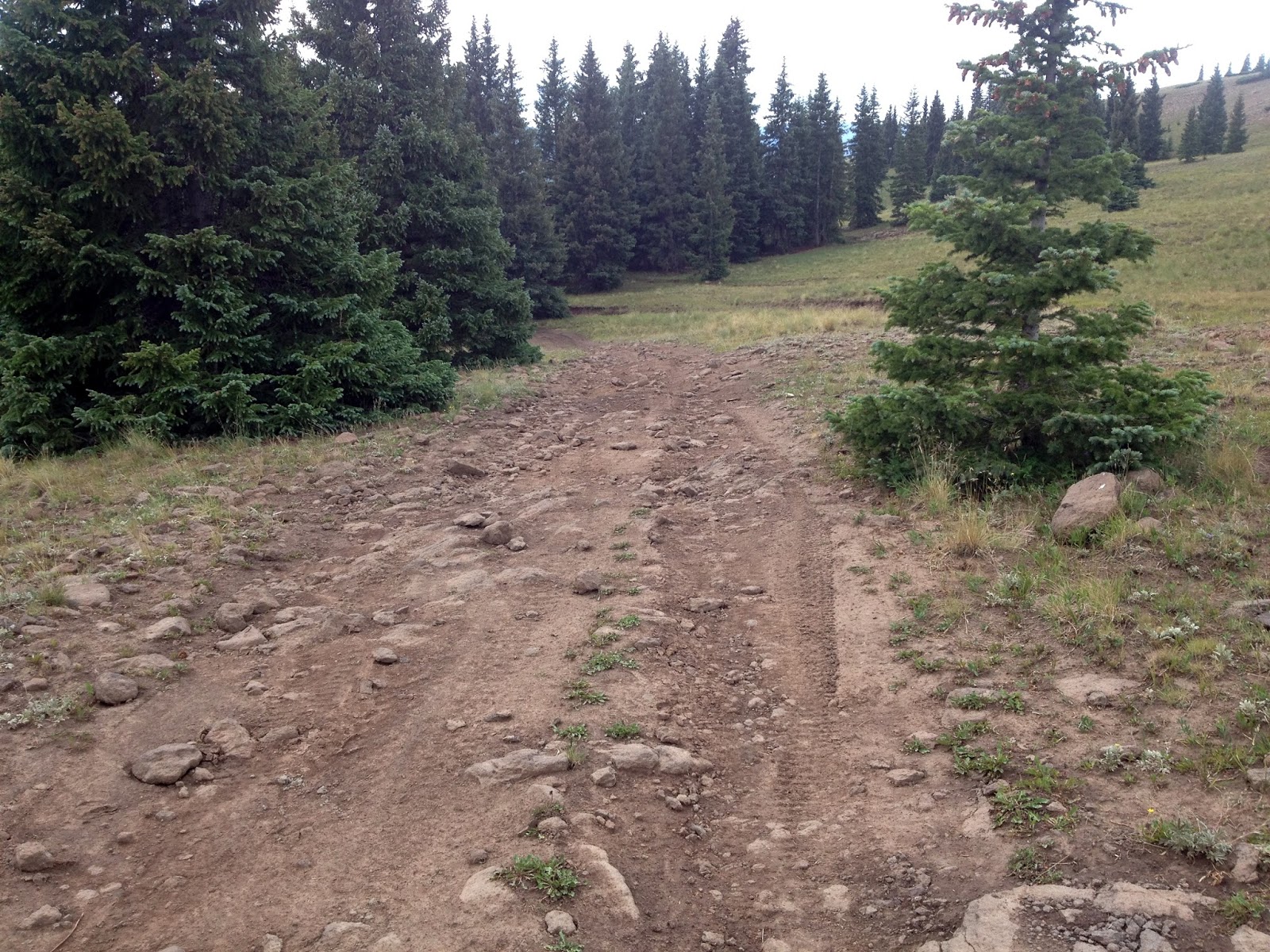 Trimble Mt. Tribune Day 25 Horca Colorado to Hopewell Lake