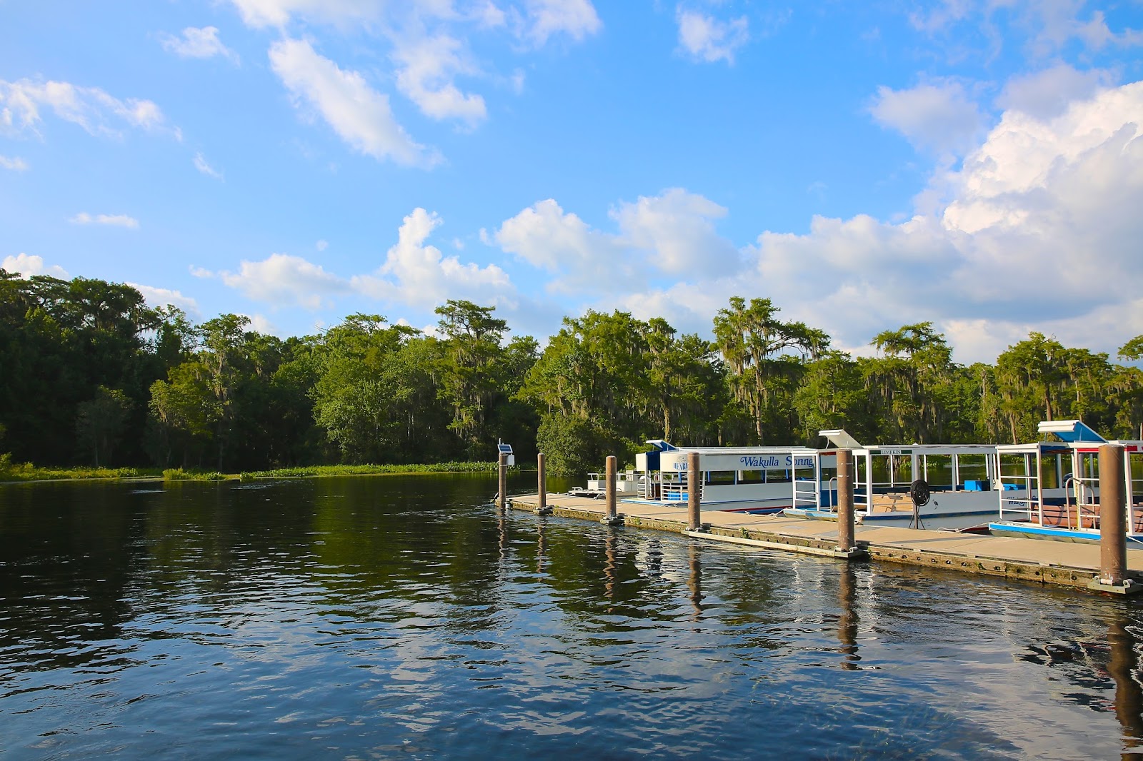Sweet Southern Days Visiting Wakulla Springs