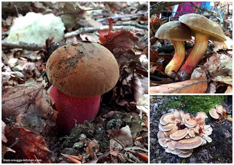 Frisch Aus Dem Wald Auf Den Teller Pilz Bruschetta From Snuggs
