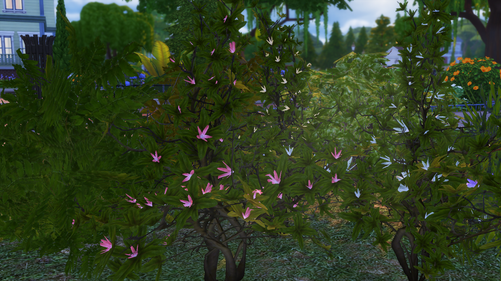 Helensims TS4 Bushes set