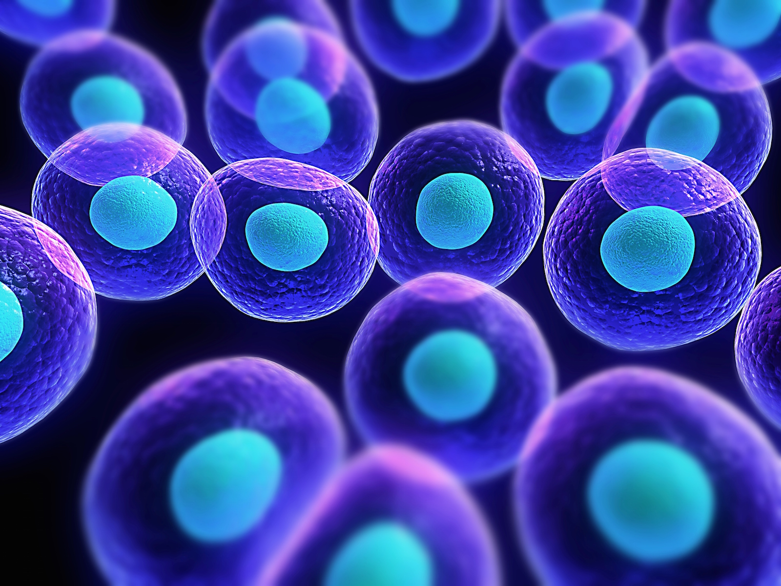 The Tales of a Stroke Patient and More Stem Cell Research, Part 2, aka