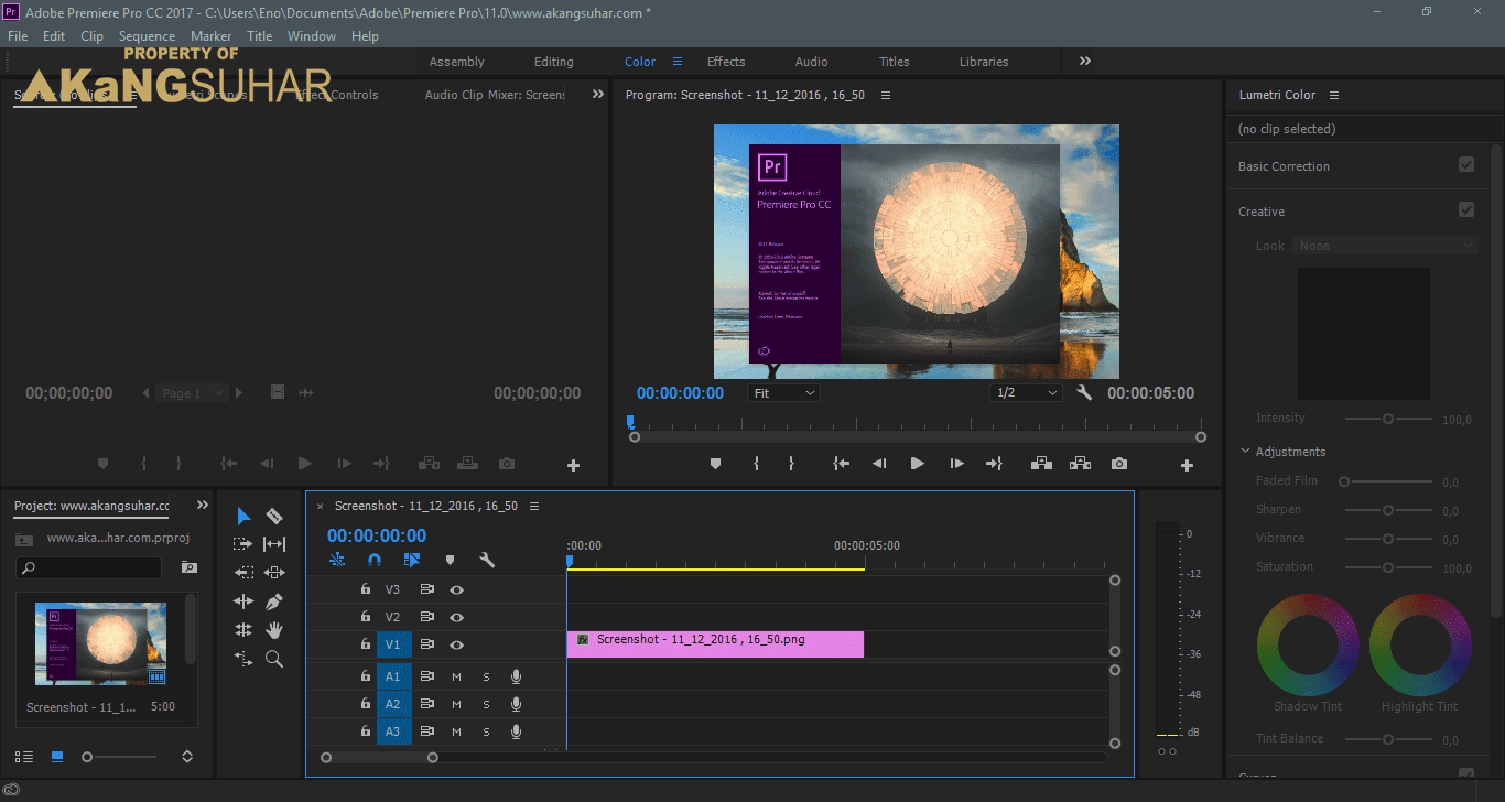 Adobe Premiere Pro 2017 Crack Torrent