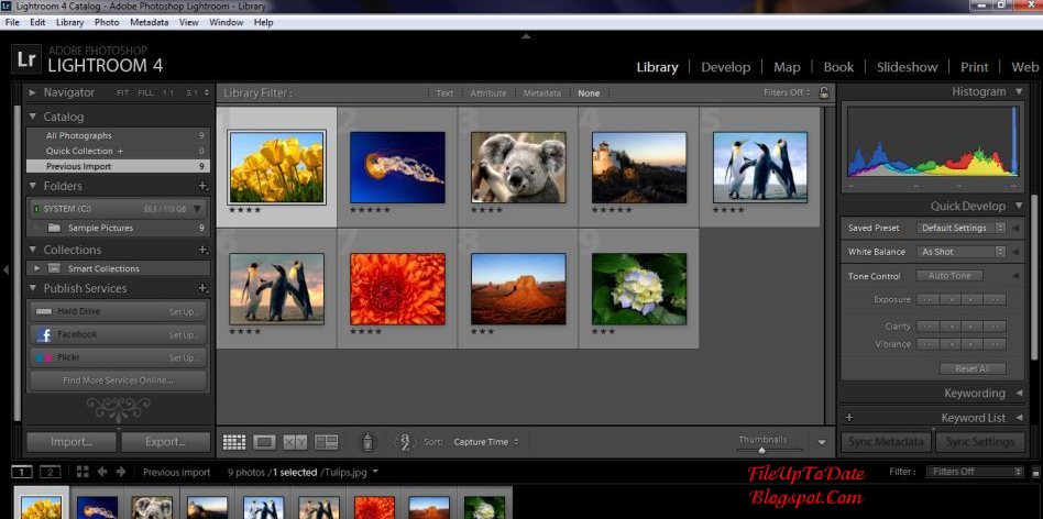 adobe photoshop lightroom 4 full crack