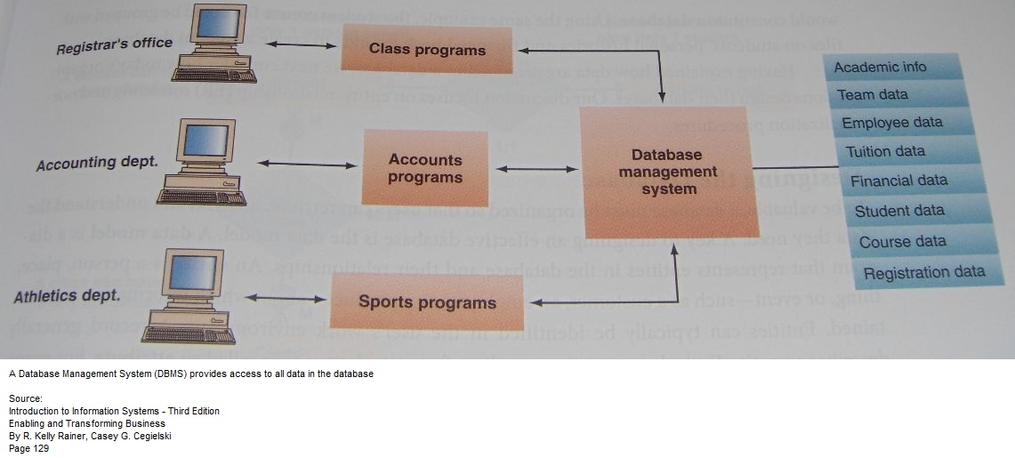 what is database management system all about