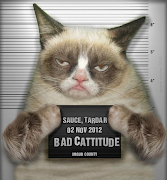 Grumpy Cat - Loove! GC or as I would probably fondly call her - 'Grump' is a . grumpy cat part 